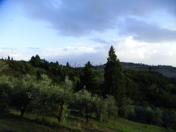 terreno in vendita a San Miniato