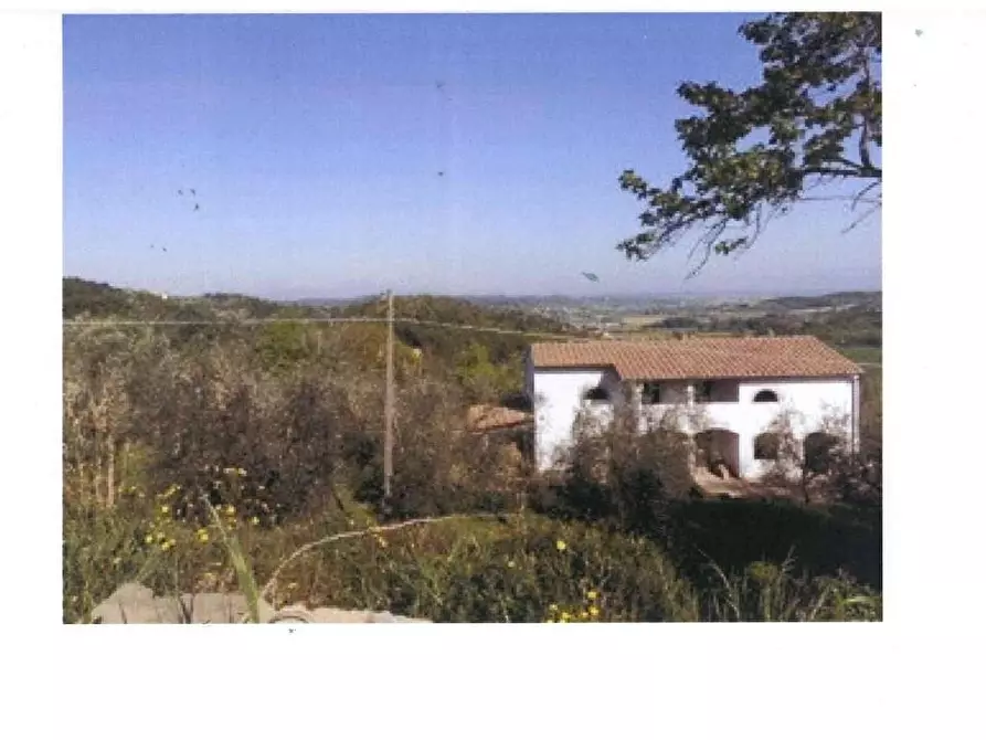 azienda agricola in vendita a San Miniato