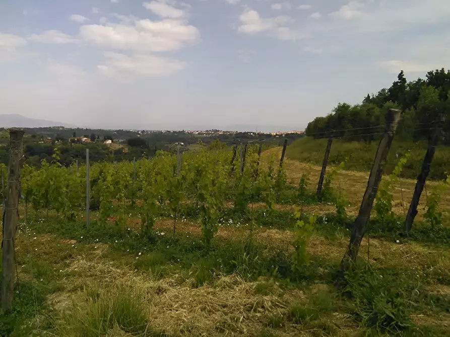 azienda agricola in vendita a San Miniato in zona Cusignano