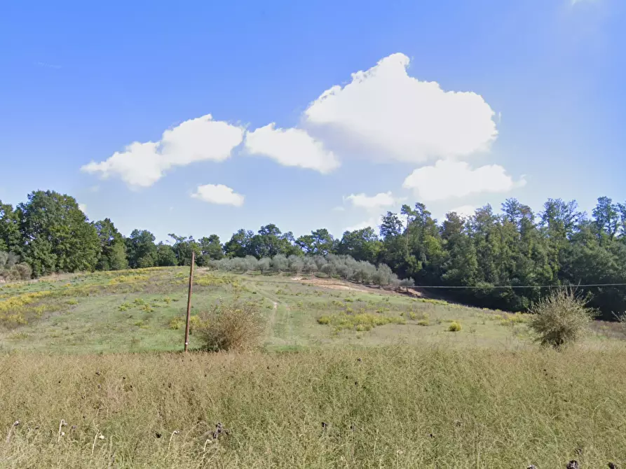 terreno agricolo in vendita a San Miniato