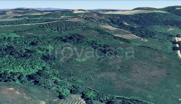 terreno agricolo in vendita a San Miniato