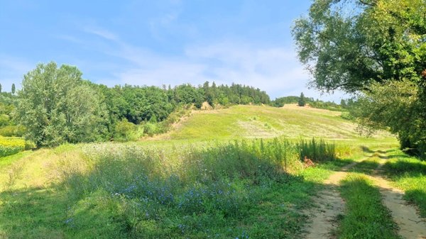 terreno agricolo in vendita a San Miniato
