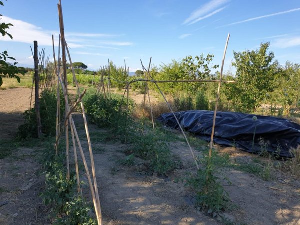 appartamento in vendita a San Miniato