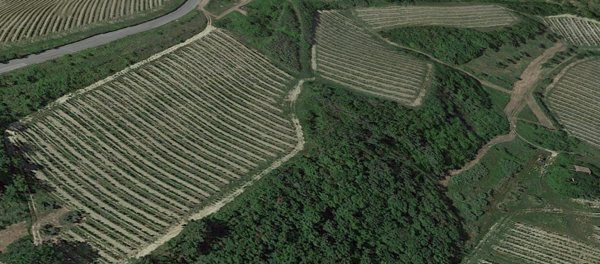 azienda agricola in vendita a San Miniato