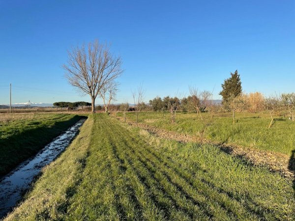 terreno agricolo in vendita a San Miniato