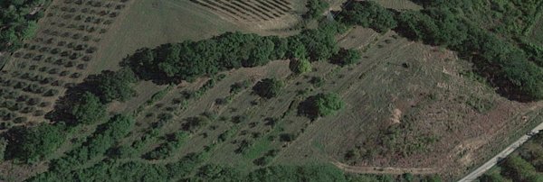 terreno agricolo in vendita a San Miniato