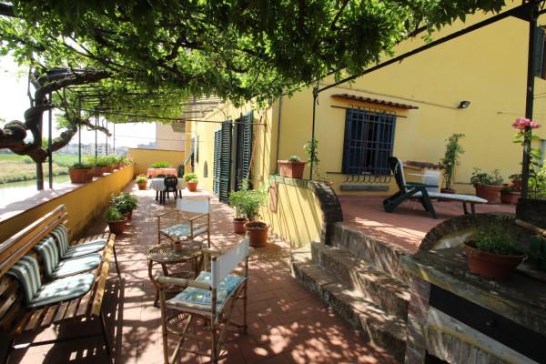 casa indipendente in vendita a San Miniato in zona Ponte a Elsa