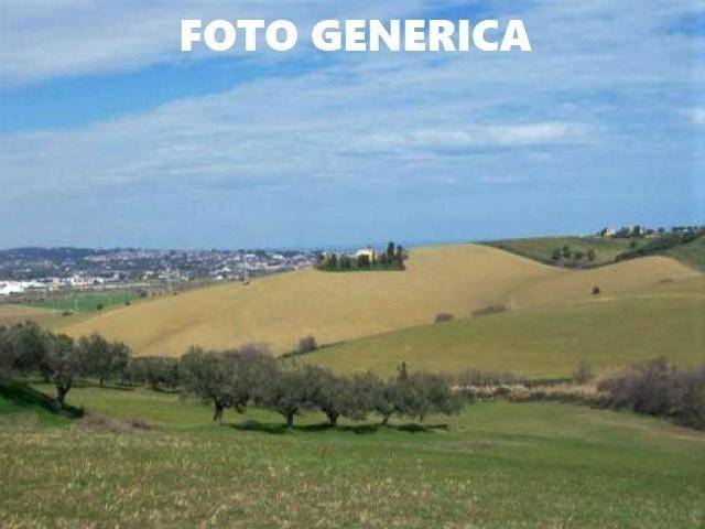terreno agricolo in vendita a San Miniato in zona La Scala