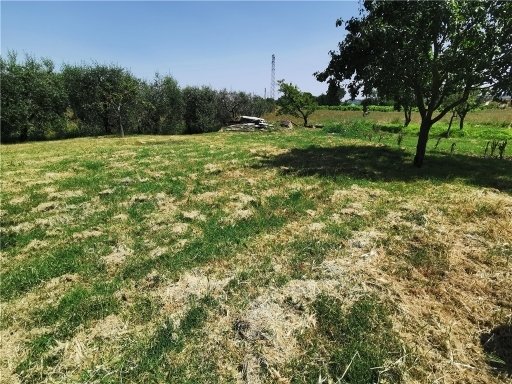 casa indipendente in vendita a San Miniato in zona Isola