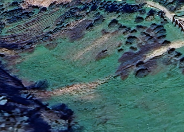 terreno agricolo in vendita a San Miniato