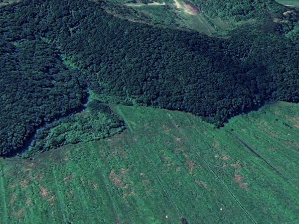 terreno agricolo in vendita a San Miniato