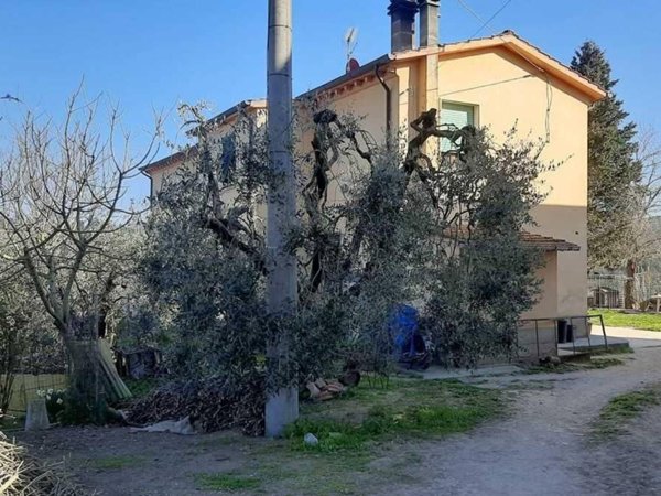 casa indipendente in vendita a San Miniato in zona San Miniato Basso