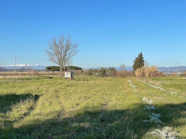 terreno agricolo in vendita a San Miniato