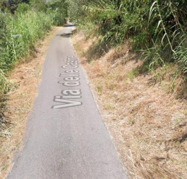 terreno agricolo in vendita a San Miniato in zona San Miniato Basso