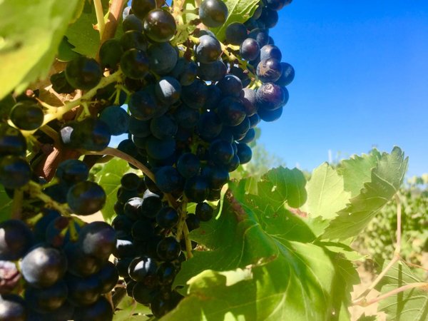 appartamento in vendita a San Miniato