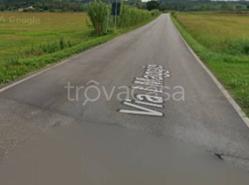 terreno agricolo in vendita a San Miniato in zona La Serra