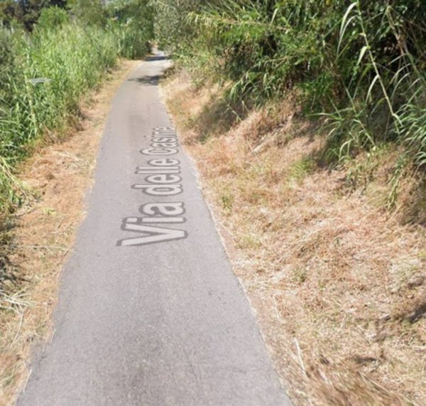 terreno agricolo in vendita a San Miniato in zona San Miniato Basso
