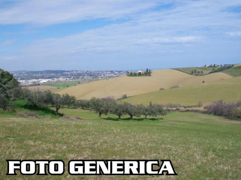 terreno agricolo in vendita a San Miniato in zona Cigoli
