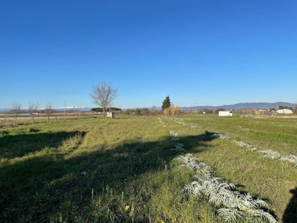 terreno agricolo in vendita a San Miniato