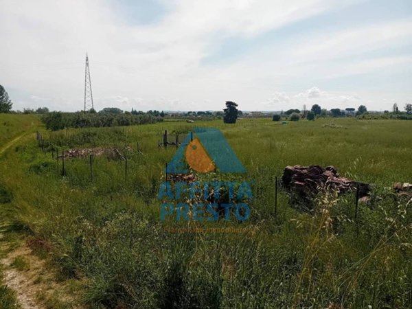 terreno agricolo in vendita a San Miniato