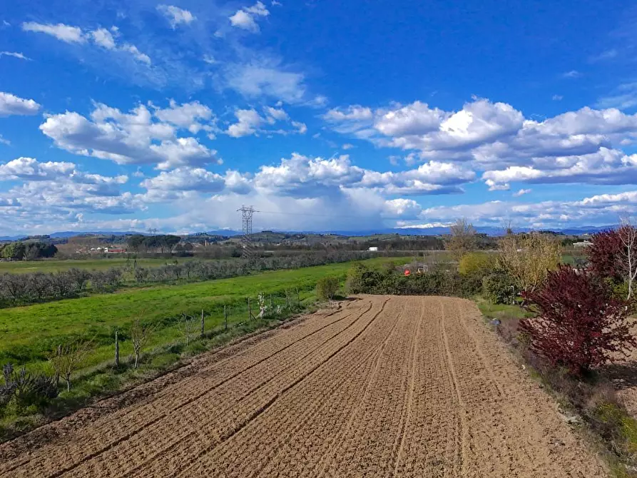 terreno agricolo in vendita a San Miniato in zona Isola