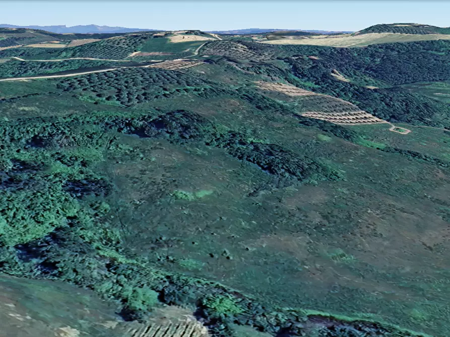 terreno agricolo in vendita a San Miniato