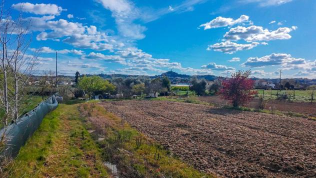 terreno agricolo in vendita a San Miniato in zona Isola
