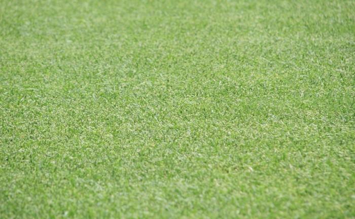 terreno edificabile in vendita a San Miniato