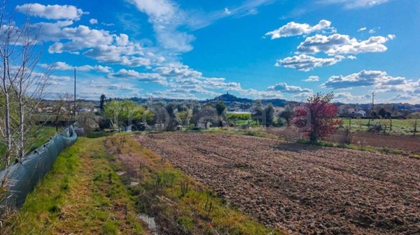 terreno agricolo in vendita a San Miniato in zona La Scala