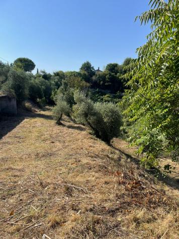 terreno agricolo in vendita a San Miniato in zona Stibbio