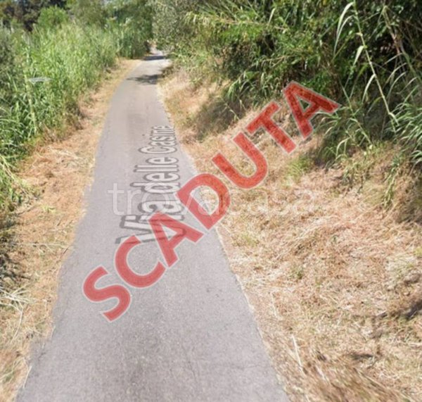 terreno agricolo in vendita a San Miniato in zona San Miniato Basso