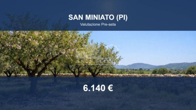 terreno agricolo in vendita a San Miniato