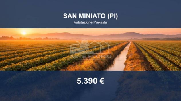 terreno agricolo in vendita a San Miniato
