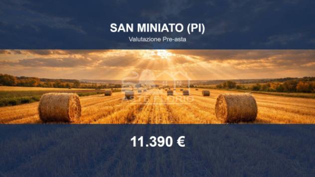 terreno agricolo in vendita a San Miniato