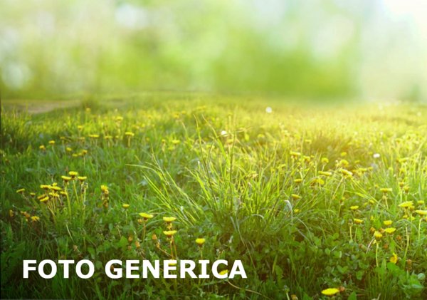 terreno agricolo in vendita a San Miniato