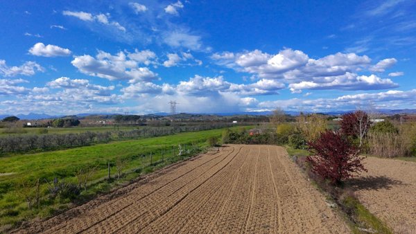 terreno agricolo in vendita a San Miniato in zona Isola