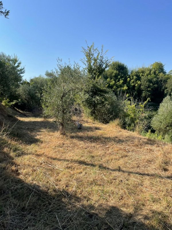 terreno edificabile in vendita a San Miniato in zona Stibbio