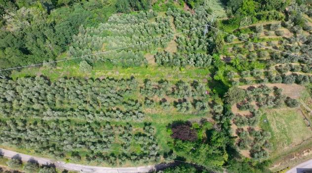 terreno agricolo in vendita a San Miniato in zona Balconevisi