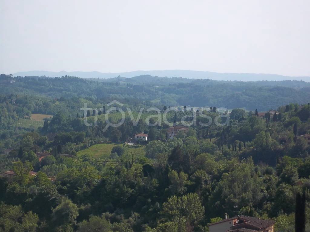 terreno agricolo in vendita a San Miniato