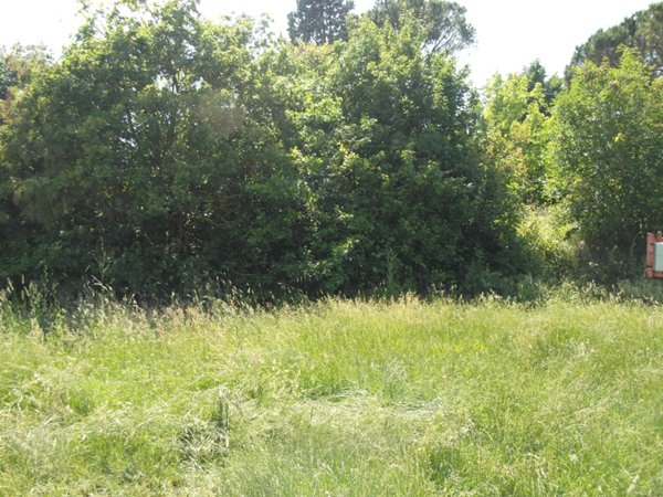 terreno edificabile in vendita a San Miniato