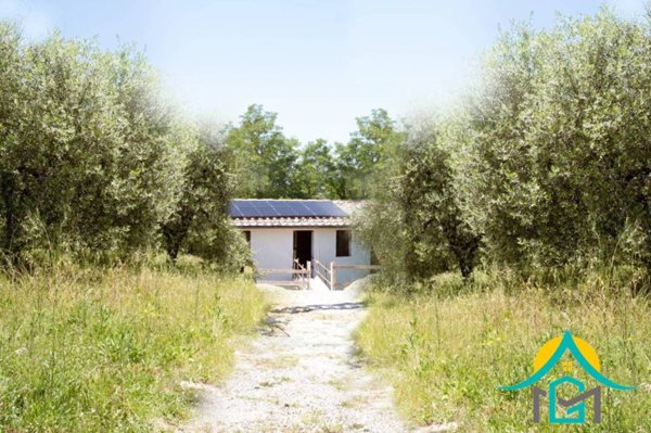 casa indipendente in vendita a San Miniato in zona Cigoli