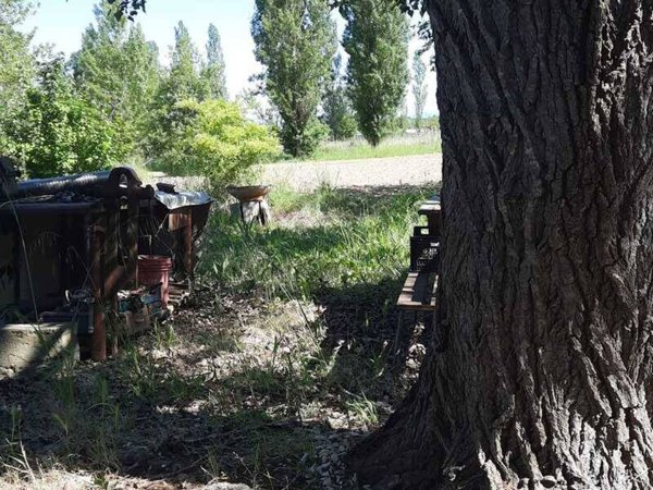 terreno agricolo in vendita a San Miniato in zona Ponte a Elsa