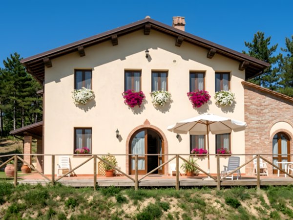 negozio in vendita a San Miniato