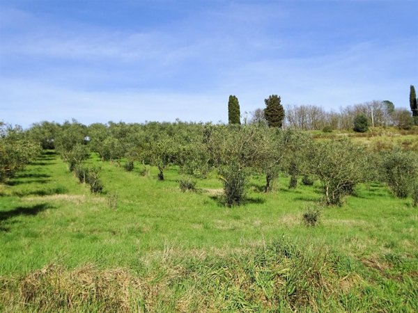 casale in vendita a San Miniato