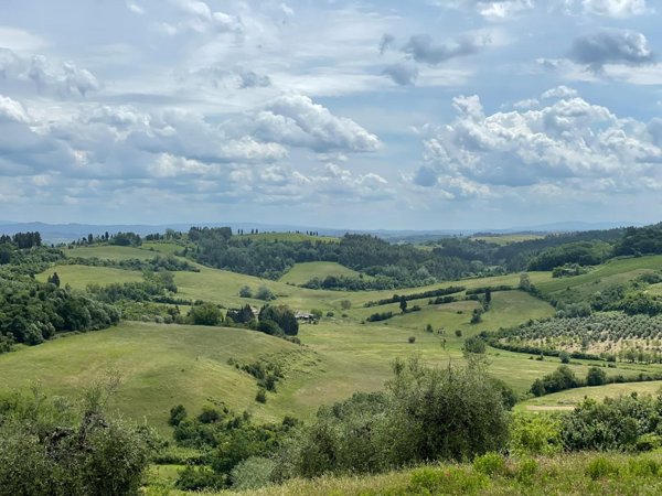 azienda agricola in vendita a San Miniato