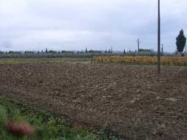 terreno edificabile in vendita a San Miniato