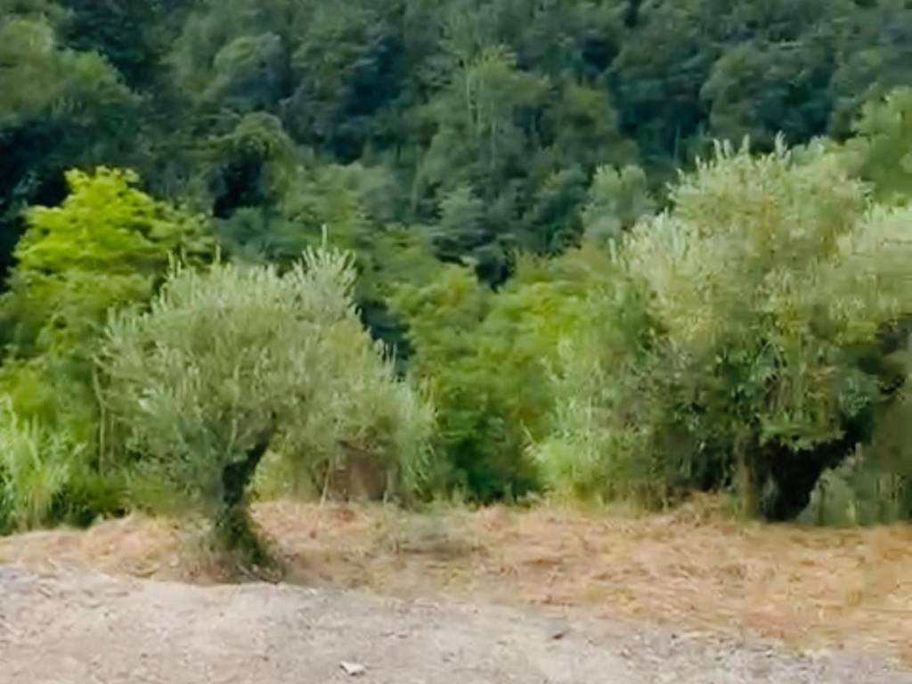 casa indipendente in vendita a San Miniato in zona Stibbio