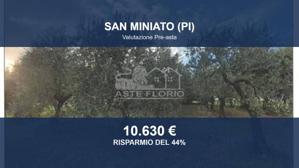 terreno agricolo in vendita a San Miniato in zona La Serra