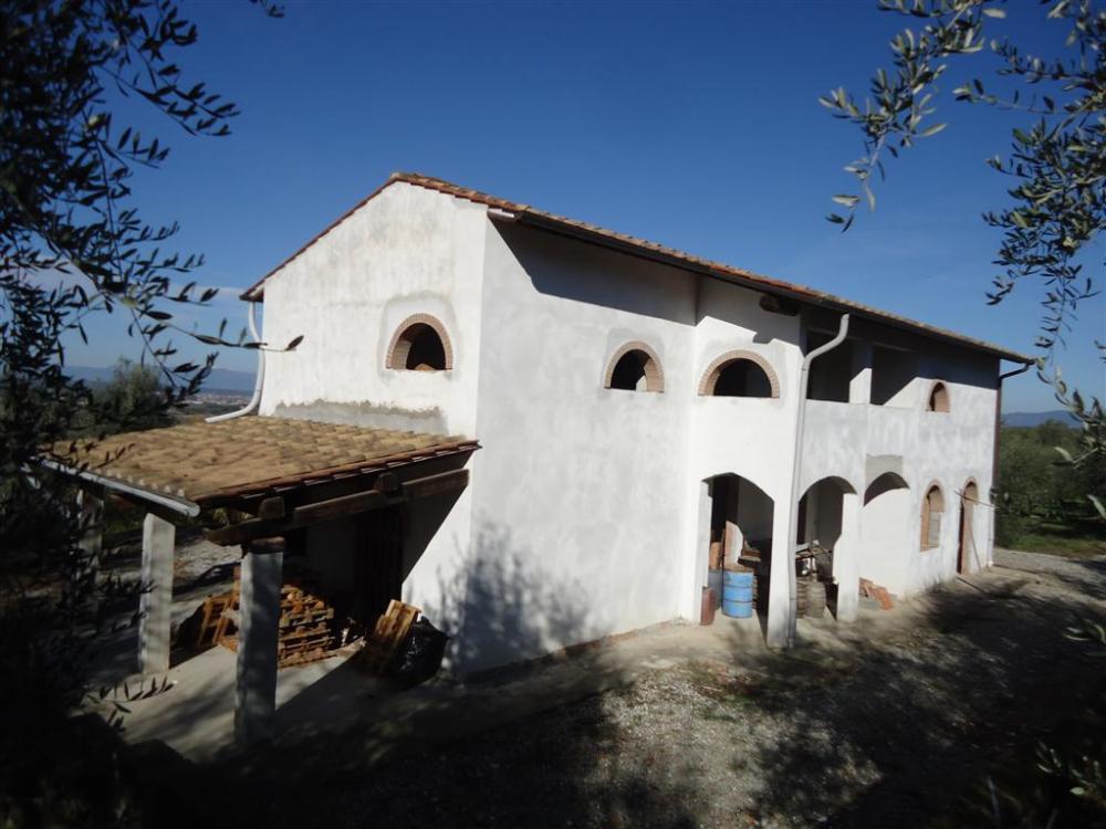 azienda agricola in vendita a San Miniato