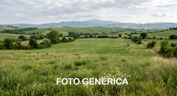 terreno agricolo in vendita a San Miniato in zona Cusignano